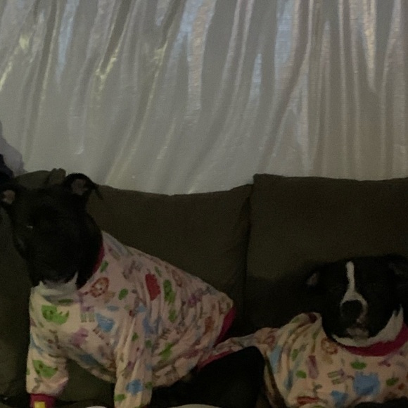 Meet your Posher, Erin - Picture 3 of 5